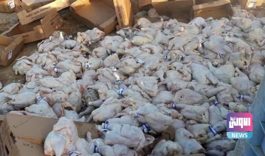 1424122021 2021 10 23 12 16 33 910615