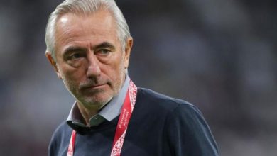 163 220021 van marwijk coach emirates 700x400