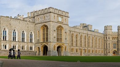 1C595EED 0A66 4323 9DC2 10362F0D1165