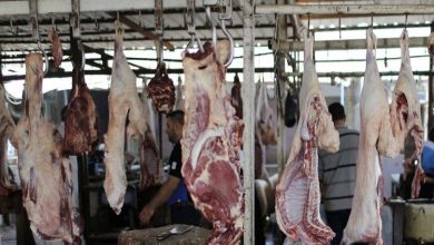 27B7399C B859 4CA2 BD89 A977446546C4