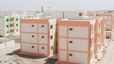 29024C37 3CE4 4392 8A8D FFD69C221F11