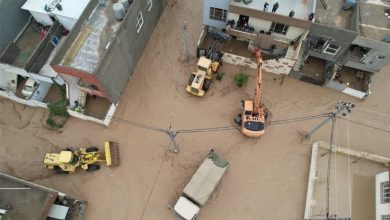 2BCC030C 7B10 43D9 A8B4 BC468CE5832C