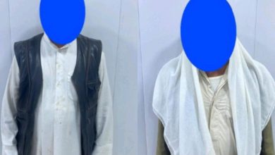 2BF8202A CD82 4959 9868 ED846A7A0524