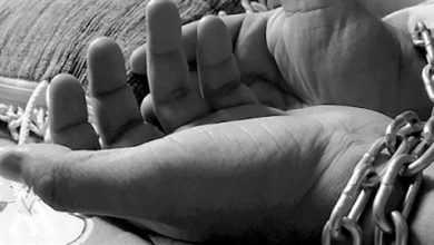 3A5AD12D 0437 4611 8B4C 46D64553CF04