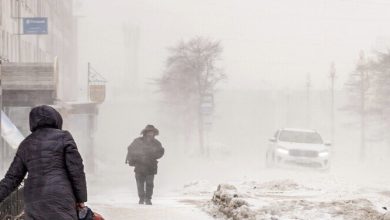 مختصة بالمناعة تحذر من زيادة عدد الإصابات بمرض غير عادي 2 3D7F9E14 B3B7 47F9 802E 7F5770729D42