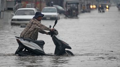 4031E393 5C7E 4250 9ADB 9B6B87A68874