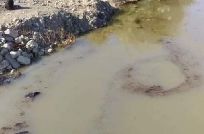 43F19625 A308 432E BB72 E6EA61B6F0A0