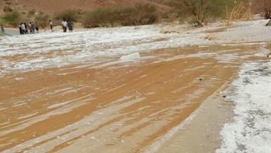 499FE258 9291 41AD 8A26 7C7663148E57