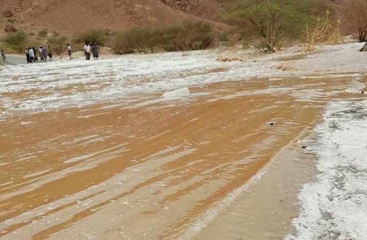 499FE258 9291 41AD 8A26 7C7663148E57