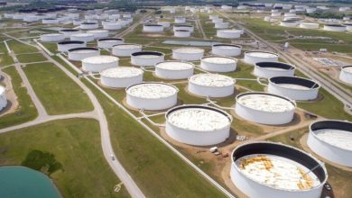 49C46593 0EE6 4AC5 84B8 B68014BF3A7E