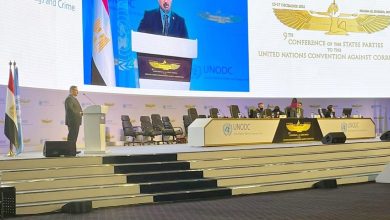 5240FE15 754B 4DB8 BC81 DCA85D721FAE