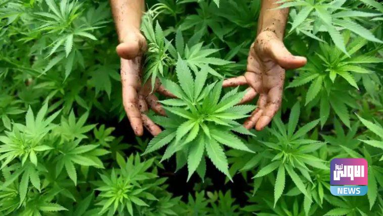 5339666A 3AE1 43AF B44A 0D080EB33FF2