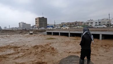 5469C3D3 1DBE 411C BEA8 80F642DA5381