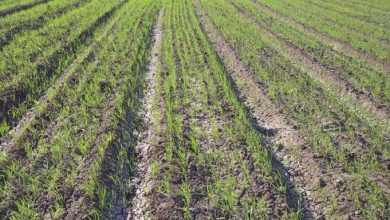 583FC721 BB80 4CAA B6AC 2D65CDD2CEB1