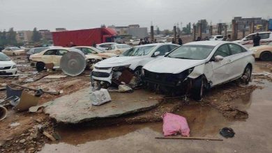 58D60851 6A4B 4F77 8361 FC4596A4E4C4