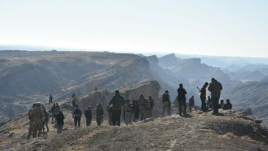 5E528861 1191 43FA BFF8 86167A8F86B8