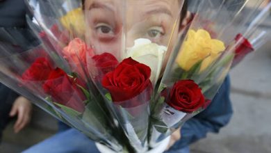 61a751894c59b733007f83dd