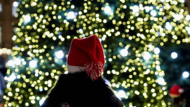 61b452a14c59b7142025cbe6