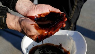 61b9994f42360464de3e9665