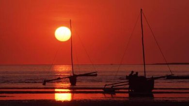 61c426fb42360421e21101be