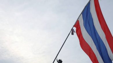 61c58d7f4236044b2c0e77b2