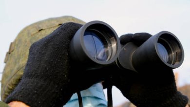 61c594b74c59b770d1016505