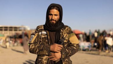 61c702e8423604698501f886