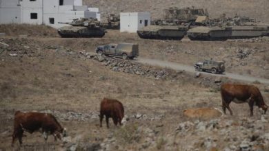 61c81ddd4c59b711b857c691