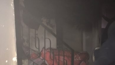 6582B19A A243 46E4 890C B17FEE22F13A