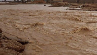 65FB5C74 D43E 4BC1 9DB5 15A2EE3CDCD7