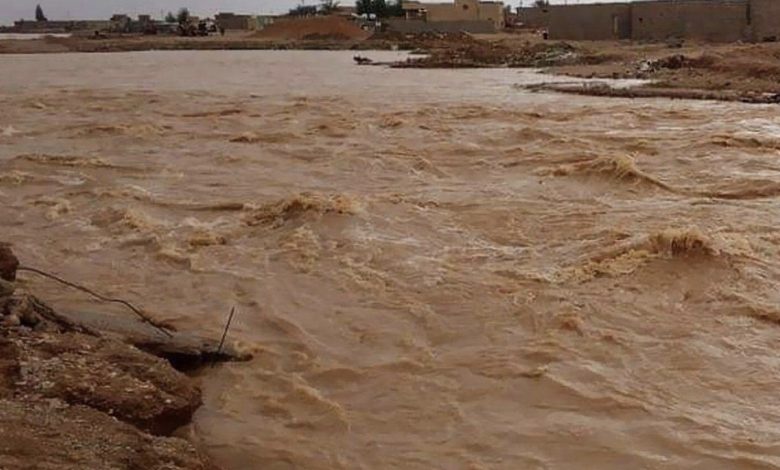 65FB5C74 D43E 4BC1 9DB5 15A2EE3CDCD7