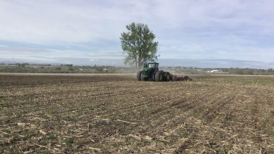 7631F503 91FC 4CCE A367 DAEEF2CC777B