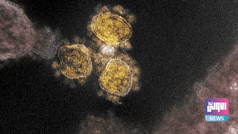 786C0FD5 20B7 469D 9B0A 40043C6C336D