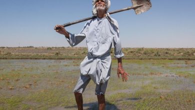 79B63870 E185 4BCB 88BF E79BBCFE3C85