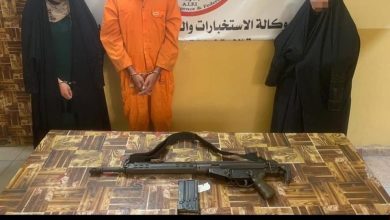 847F72C7 F024 4F38 9DBB E823B8FD6A87