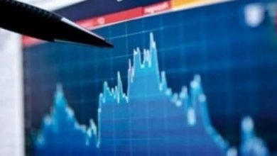 85302385 7DD0 4D05 A462 71E0DAFCB269