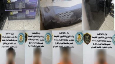 8556C893 D2E3 4EAA 81F1 B8D3DAC77C8E