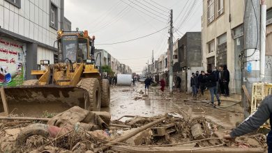 8C83BDD6 FC2F 4E60 9AAB EED888F2F8C6