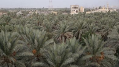 8D37299D 363A 45CE B6BB 53F6C7CC2F54