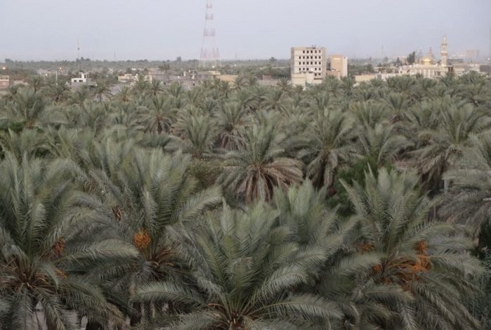 8D37299D 363A 45CE B6BB 53F6C7CC2F54