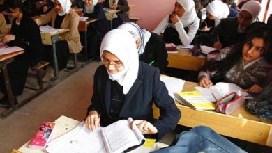 96C4DD41 1ED7 4E4D 9D6C 6FE7D3382910