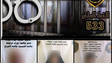 A5239019 C3E4 49F0 9C0D 01772A997DCF