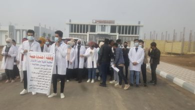 AEF95318 4974 4511 B925 DCDF6D823D15