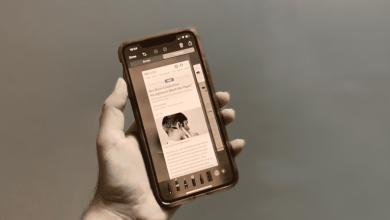 B2DB2DBB B490 481B B393 8DA5A2129249