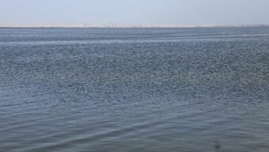 B4FF5A5C BD97 40C4 90C1 344BE651B5B5