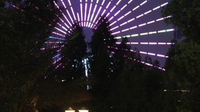 شركة سندباد لاند تلغي جميع الحفلات 5 B85512A0 B297 41D1 936B 7C47939CA111