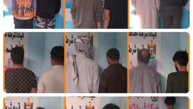 C760DD37 E78C 4E2E A261 1BCAE8F6452B