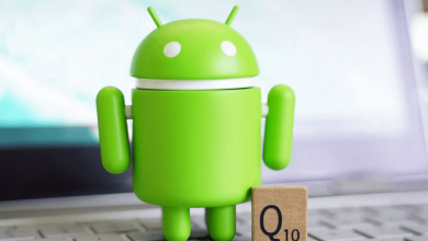 CAFEB32E 5B5C 463C B5D7 668CA04E3EFC