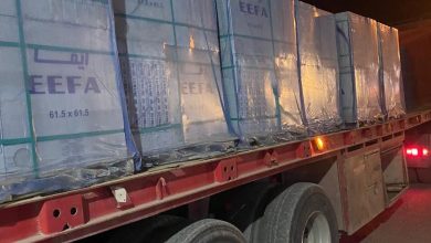 D02C4966 FE12 4EE8 8F65 28A7EE778194