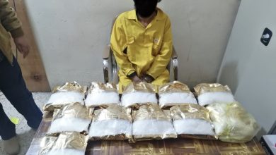 D4465DC7 0917 4900 A556 8EBA10D08603